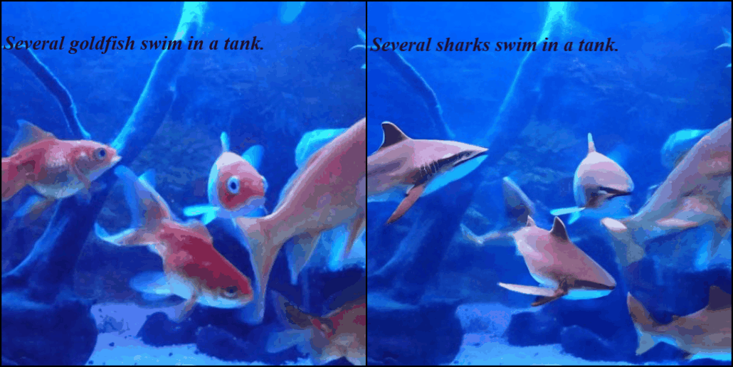 Goldfish transformation